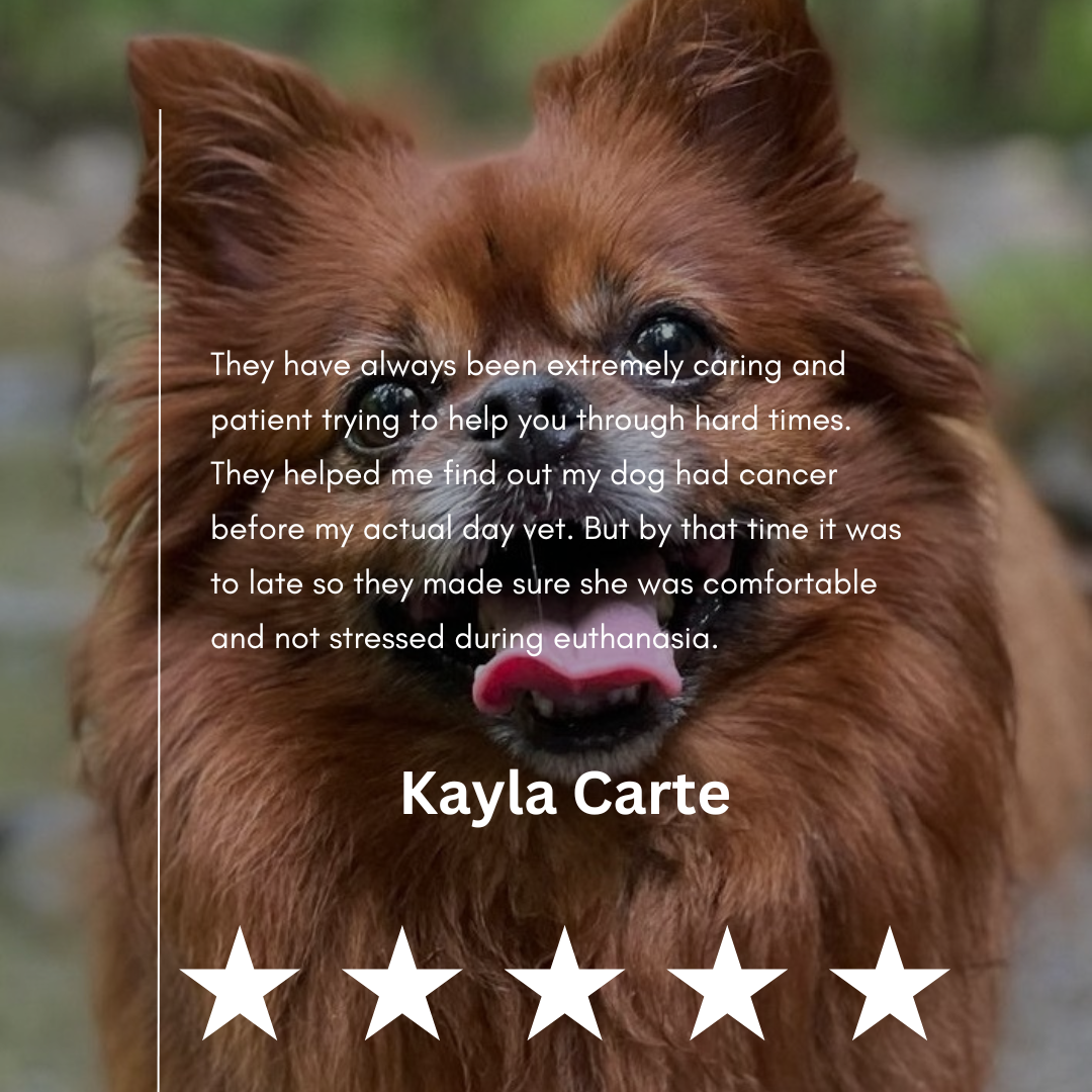 Kayla Carte Review