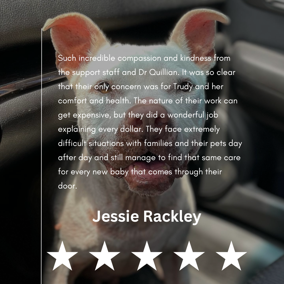 Jessie Rackley Review